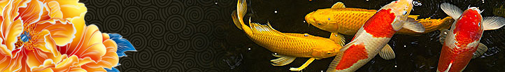 广告[2014-12-31 17:20:39]