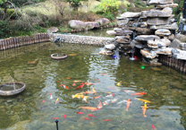  乌鲁木齐市鲤鱼山公园重新开门迎客