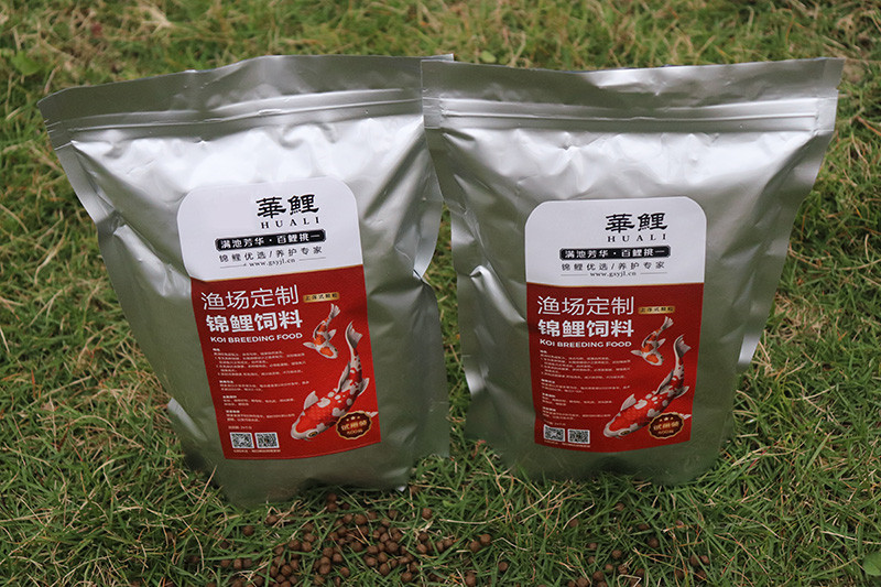 锦鲤养殖户如何现在锦鲤饲料