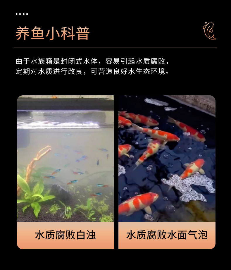 百因美元气水