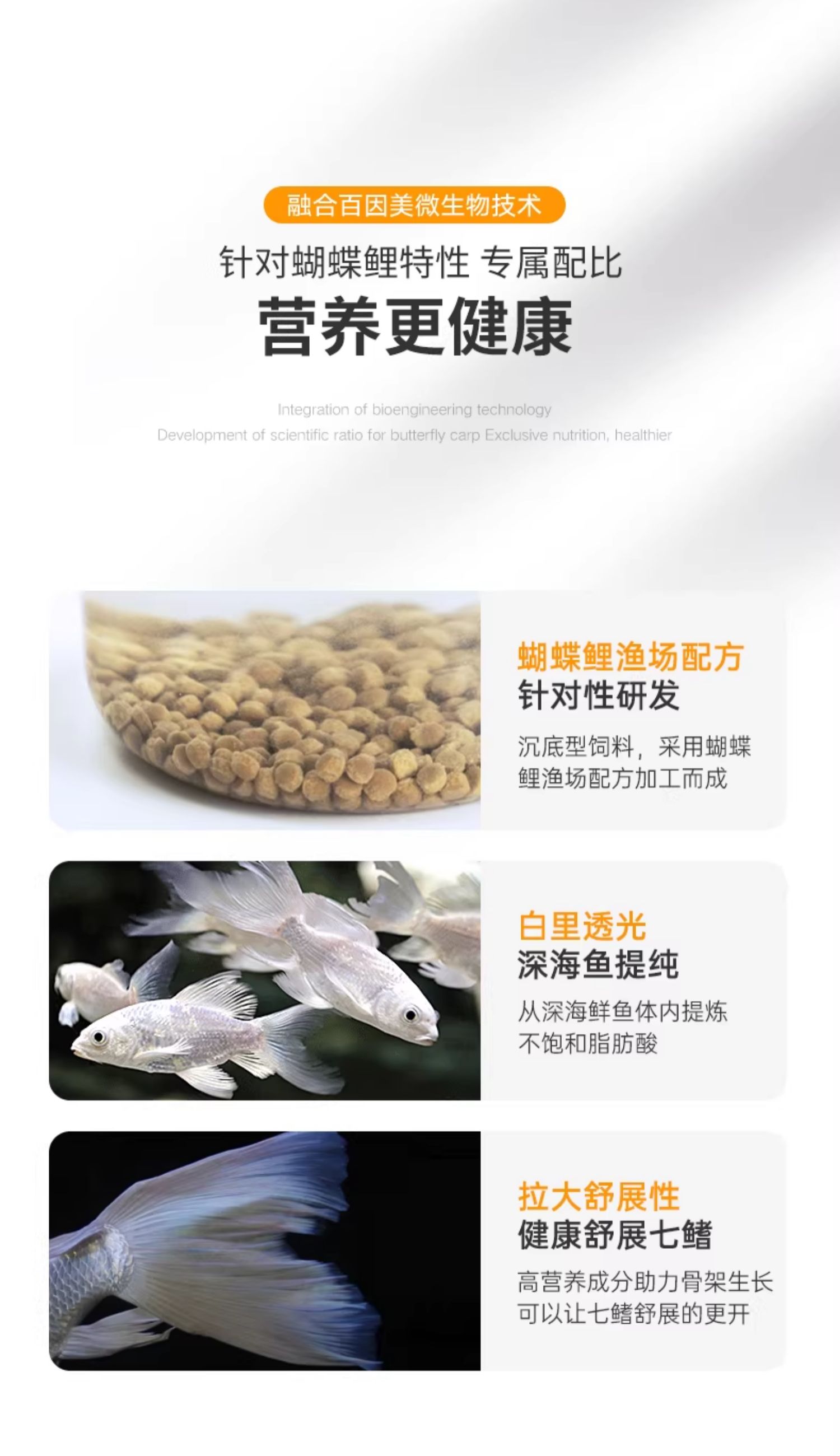 蝴蝶鲤饲料