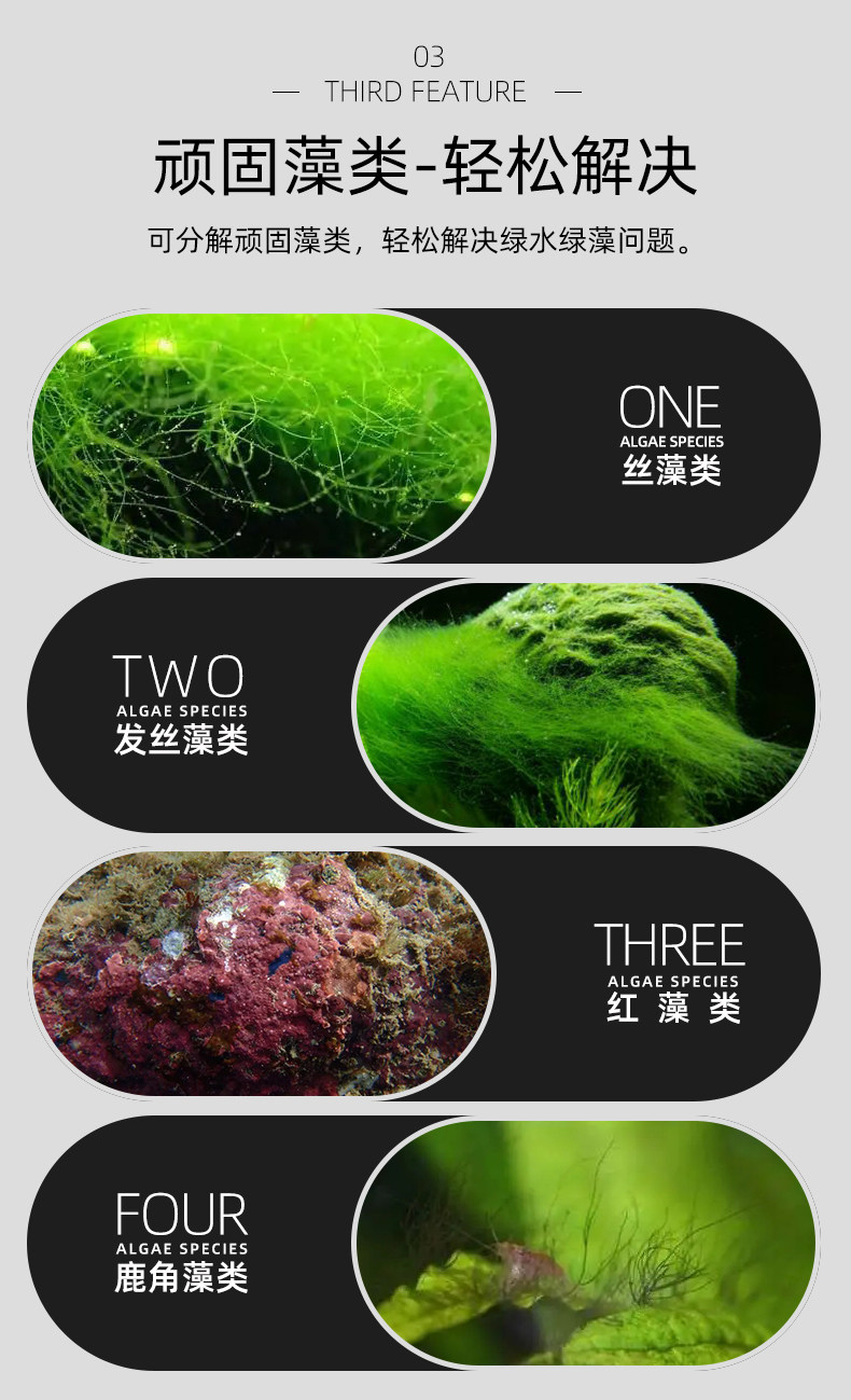 除绿藻