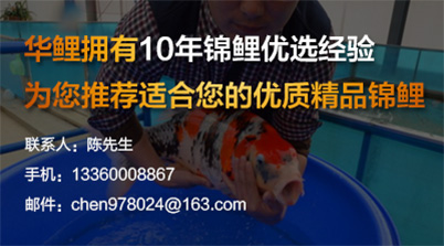 首页广告2[2018-12-03 11:32:57]